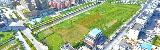 摩根体育官网- 第戎市政府通过土地置换方案，筹建现代化训练中心  