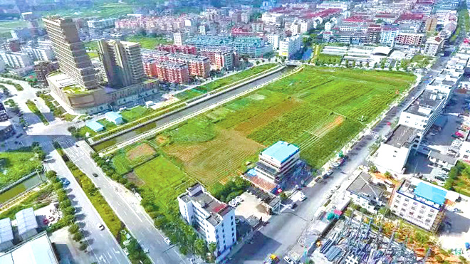  第戎市政府通过土地置换方案，筹建现代化训练中心  